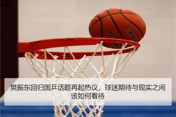 樊振东回归国乒话题再起热议，球迷期待与现实之间该如何看待（dbdianzi）